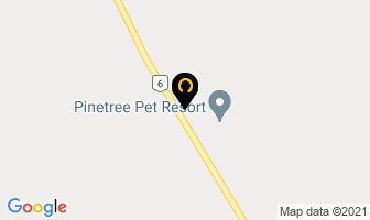 Pinetree Pet Care Centre in Saint-Georges map