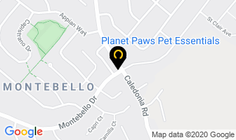 Planet Paws Pet Essentials in Dartmouth map