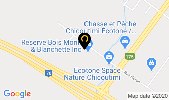 Pneu Pro Saguenay Inc in Guelph map