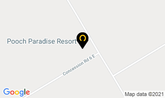 Pooch Paradise Resort in Tiny map