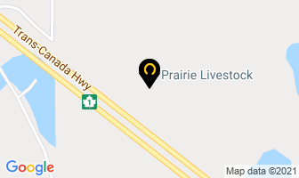 Prairie Livestock in Taber map