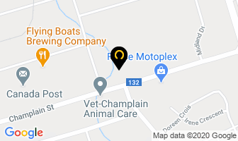 Protrans Personnel Services Inc in Dieppe map