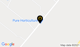 Pure Horticulture Inc in Aldouane map