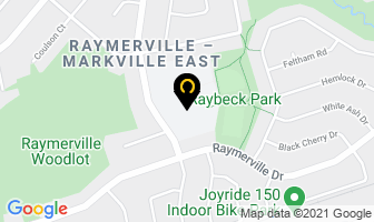 Ramer Wood Public School in Markham map