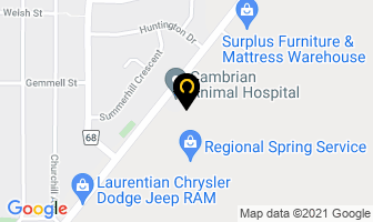 Regional Spring Distribution in Sudbury map