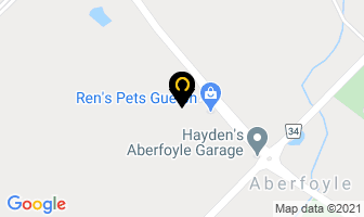 Ren's Pets Depot in Saint-Georges map