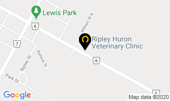 Ripley Huron Veterinary Clinic in Ripley map