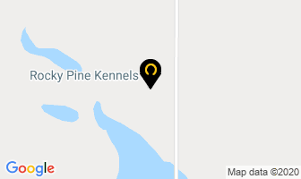 Rocky Pine Kennels in Binbrook map