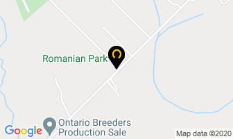 Romanian Park in Hamilton map