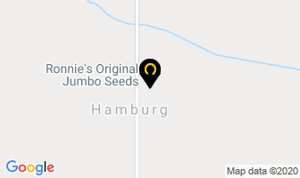 Ronnie's Original Jumbo Seeds in Prince Albert map