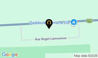 Rsm Portes De Garage in Napierville map