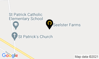 Seelster Farms Inc in Lucan map