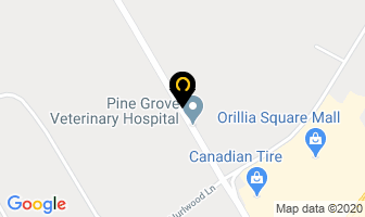 Seki John T Dr in Orillia map