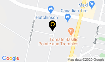 Shapiro Fruits in Brantford map