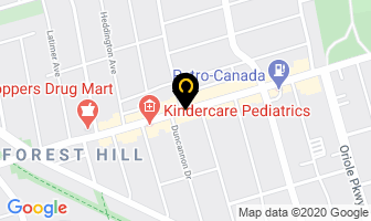 Shaul Andrew Dr in Toronto map