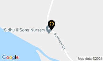 Sidhu & Sons Nursery in Mission map