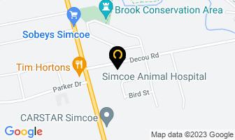 Simcoe Animal Hospital in Simcoe map