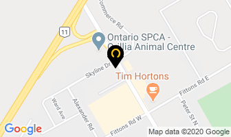 Skylark Express Shop in Orillia map