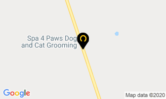 Spa 4 Paws Dog Coats & Beds in Lindsay map