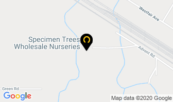 Specimen Trees Wholesale Nurseries Ltd in Vanderhoof map