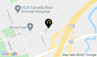 Sport Physiotherapy Canada in Guelph map
