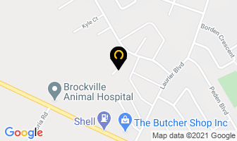 Stephenson D in Brockville map