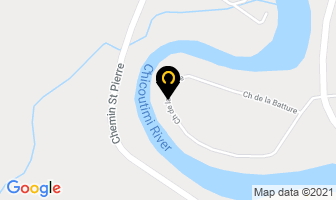 Stl Lubrifiants Inc in Guelph map