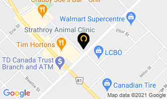 Strathroy Animal Clinic in Strathroy map