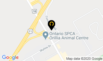 Sunshine 89.1 in Orillia map