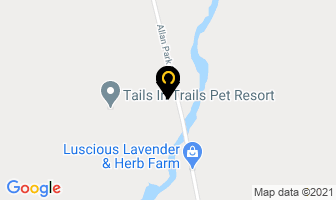Tails In Trails Pet Resort in West Grey map