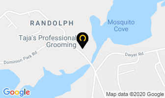 Taja's Professional Grooming in Saint John map