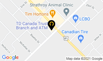 Td Canada Trust in Strathroy map