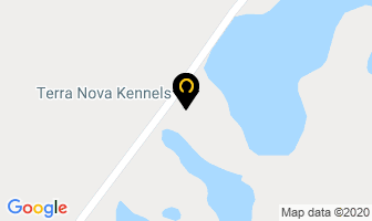 Terra Nova Kennels in Division No. 1, Subd. B map