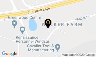The Empyrean Group Ltd in Grand Falls-windsor map