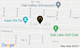 The Store in Oak Lake map