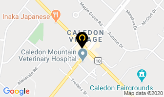 The Treasure Quest in Caledon map