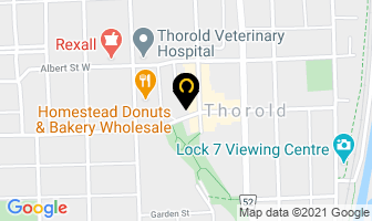 Thorold Veterinary Hospital in Estevan map