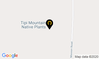 Tipi Mountain Native Plants Ltd in Cranbrook map