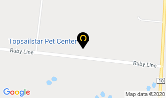 Topsailstar Pet Center in St. John's map