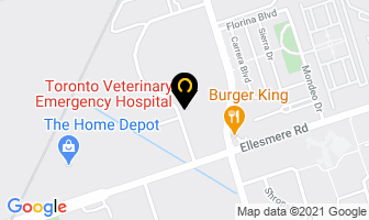 Toronto Veterinary Emergency Hospital in Orillia map