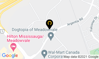 Transglobal Systems Of in Mississauga map