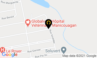 Transporlier Inc in Dawson Creek map