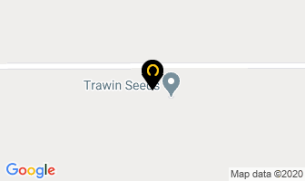 Trawin Seeds in Kitchener map