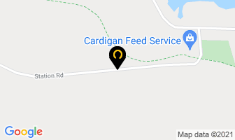 Twisted Roots Hair Studio in Cardigan map