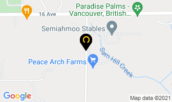 Vancouver Mobile Marine Service Inc in Surrey map