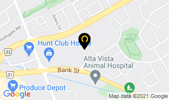 Vanessa Plettell Dance Inc in Guelph map