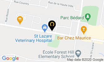 Voyages Patrick Martinet Inc in Saint-Lazare map