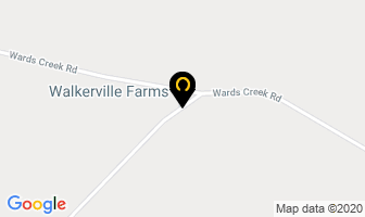 Walkerville Farms in Lasalle map