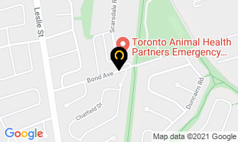 Waterstone Clinic Inc in Toronto map
