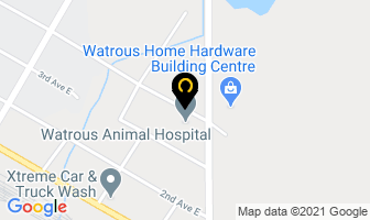 Watrous Animal Hospital in Watrous map